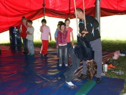 circus_lollypop_2010_20130217_1566795223