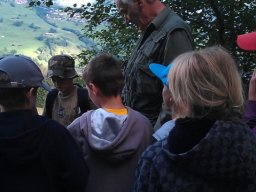 wildbeobachtung_20130217_1292191244