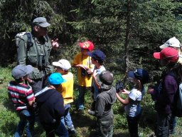 wildbeobachtung_20130217_1518323817