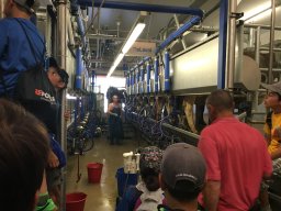 plantahof_8_20160811_1736401418