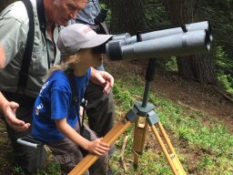 wildbeobachtung_3_20160811_1783758692