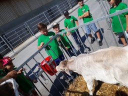 ferienpass_2018_22_20180925_1466215687