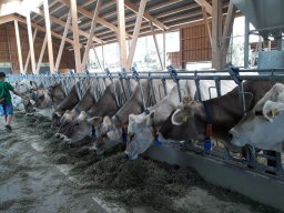 ferienpass_2018_23_20180925_1407672426