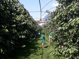 ferienpass_2018_25_20180925_1442650366