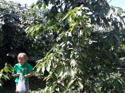 ferienpass_2018_26_20180925_1662373835