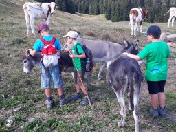 ferienpass_2018_30_20180925_1244267426